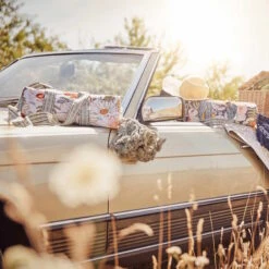 Picknickdecke L 175 X B 154cm BETWEEN FLOWERS In Dunkelblau 21 Picknickdecke L 175 X B 154cm BETWEEN FLOWERS In Dunkelblau -Einrichtungsgeschäft butlers picknickdecke l 175 x b 154cm between flowers in dunkelblau 9