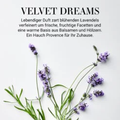 Einrichtungsgeschäft 42 Einrichtungsgeschäft -Einrichtungsgeschäft butlers raumduft no 3 velvet dreams 110ml home and soul in transparent 1
