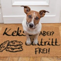 Fußmatte Kekse Dabei? Eintritt Frei! In Natur/Schwarz - 40 X 60 Cm 13 Fußmatte Kekse Dabei? Eintritt Frei! In Natur/Schwarz - 40 X 60 Cm -Einrichtungsgeschäft relaxdays fussmatte kekse dabei eintritt frei in natur schwarz 40 x 60 cm 4