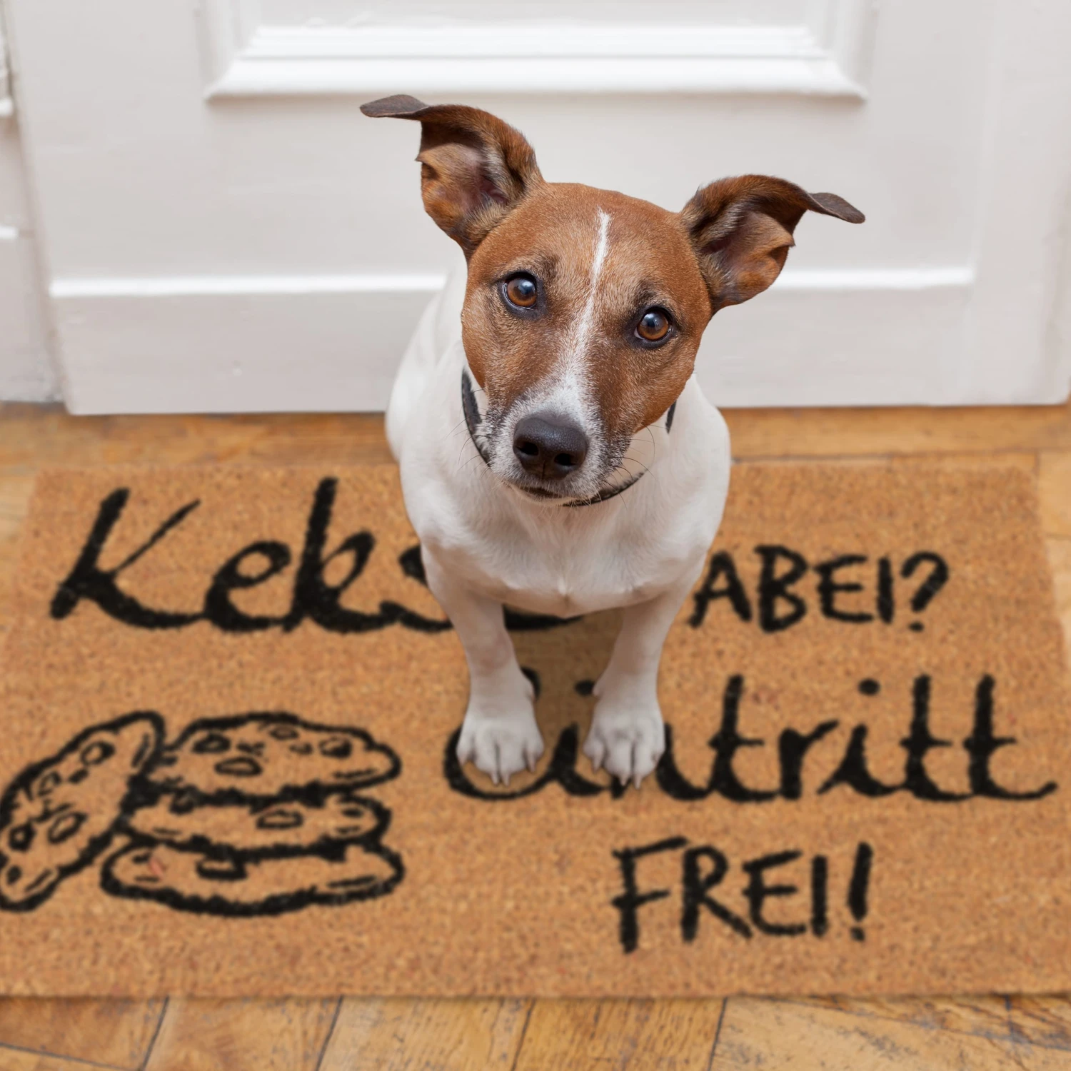 Fußmatte Kekse Dabei? Eintritt Frei! In Natur/Schwarz - 40 X 60 Cm 7 Fußmatte Kekse Dabei? Eintritt Frei! In Natur/Schwarz - 40 X 60 Cm – Bild 5